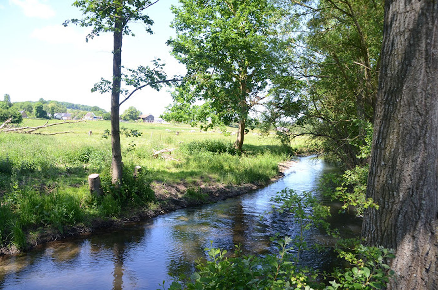 Le Grenier de la Mothe - Espaces extérieurs